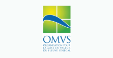 Danewell Solutions OMVS